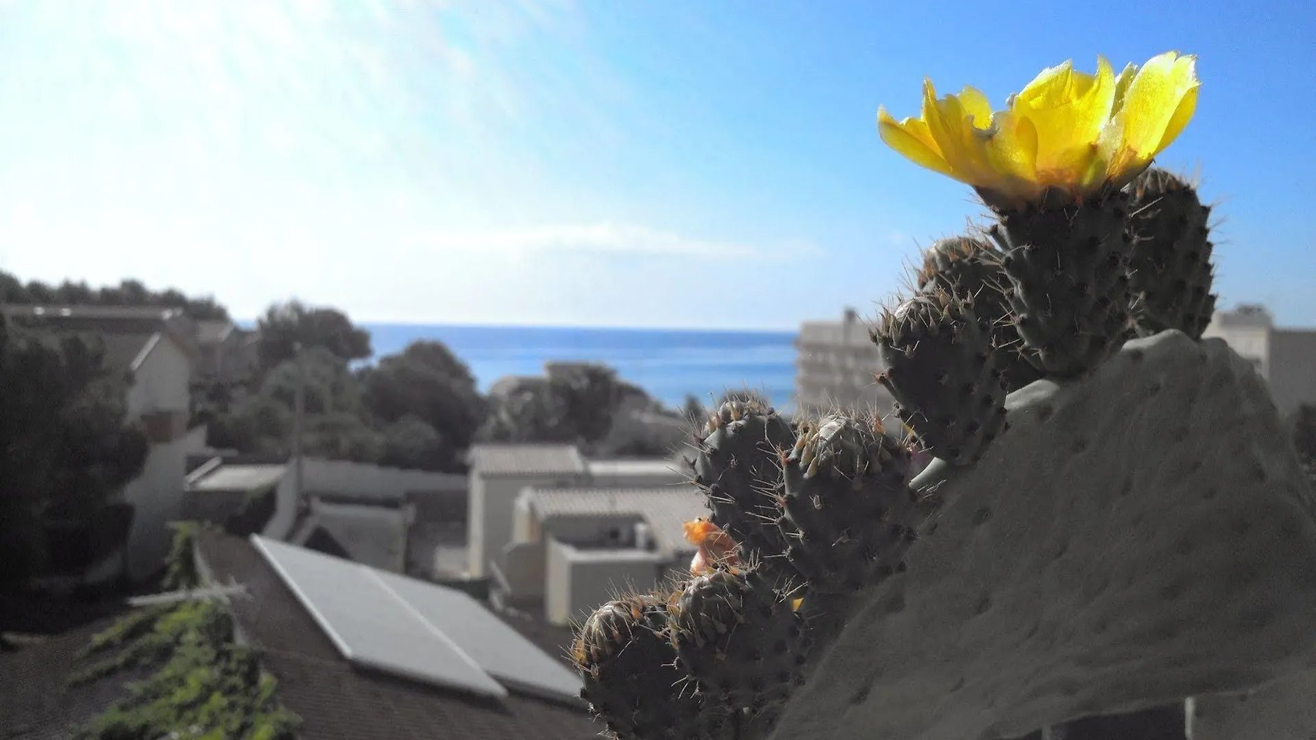 Due Passi Dal Mare Hotel Lido di Noto